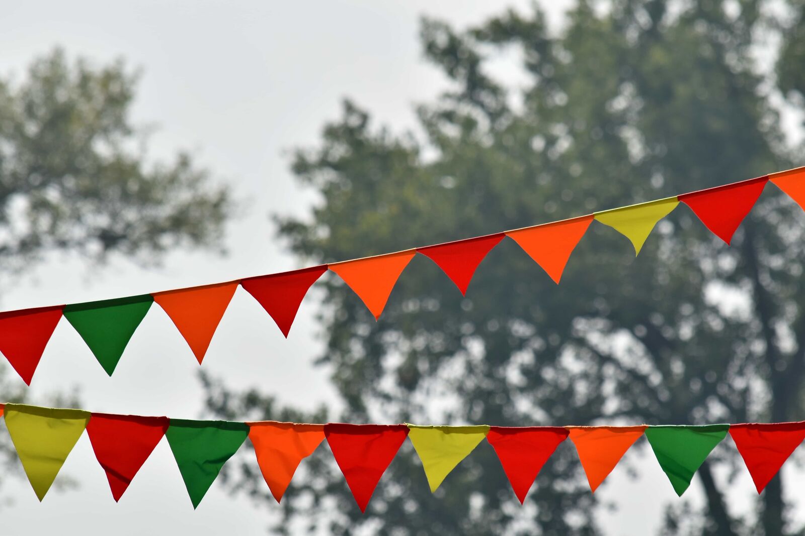 Nikon D5500 sample photo. Carnival, festival, park, party photography