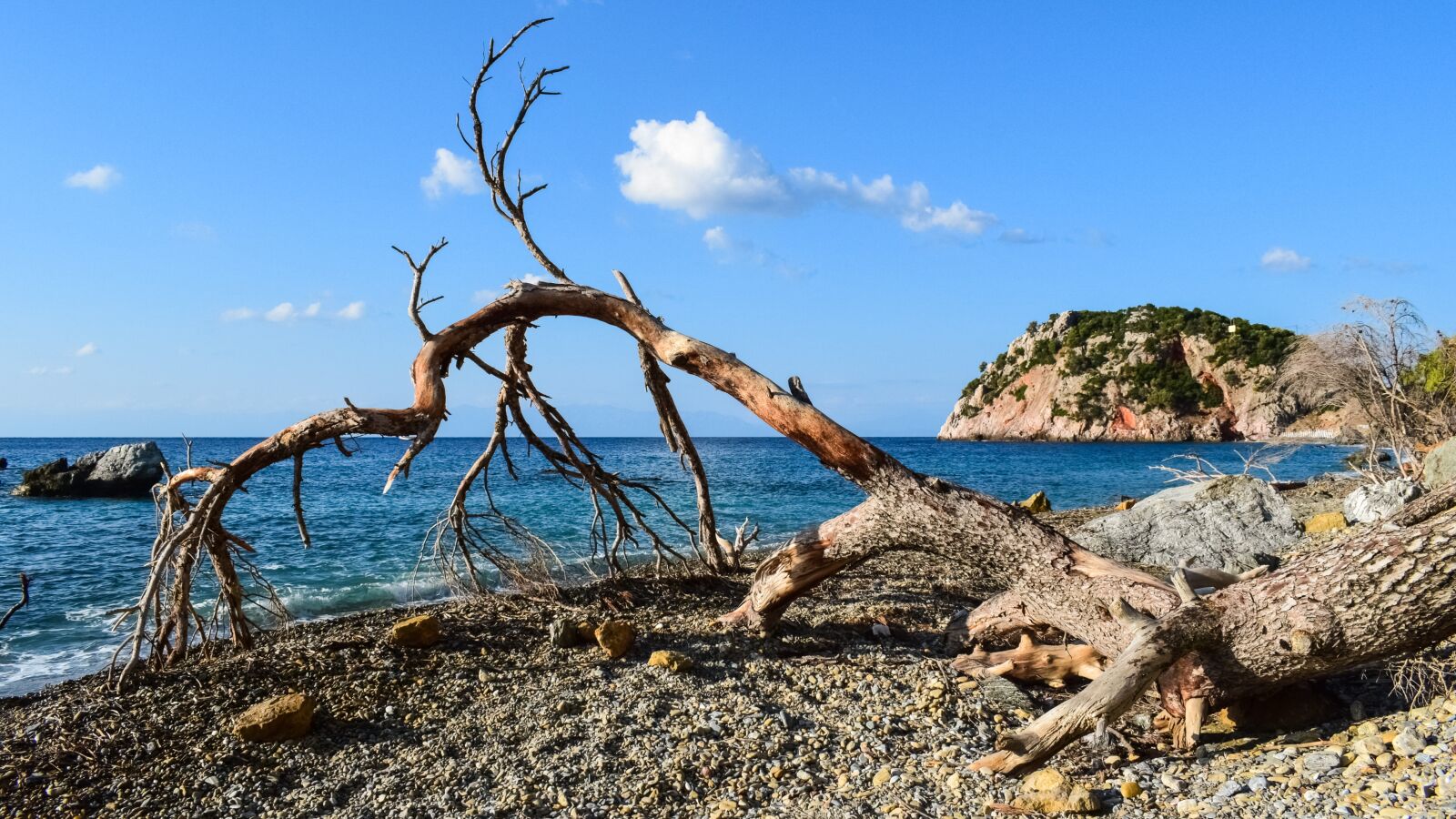 Nikon D3300 sample photo. Beach, wild, fallen tree photography