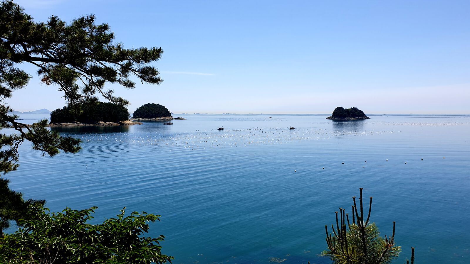 Samsung Galaxy Note9 sample photo. Korea, yeosu, dolsan sea photography
