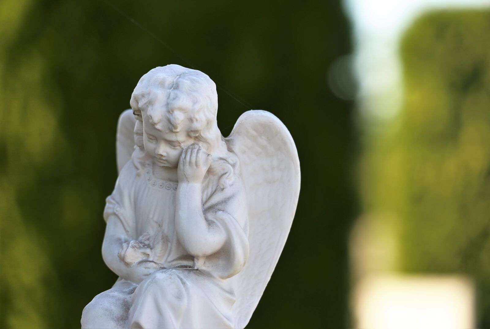 Canon EOS 6D sample photo. Little angel, cypress, sad photography