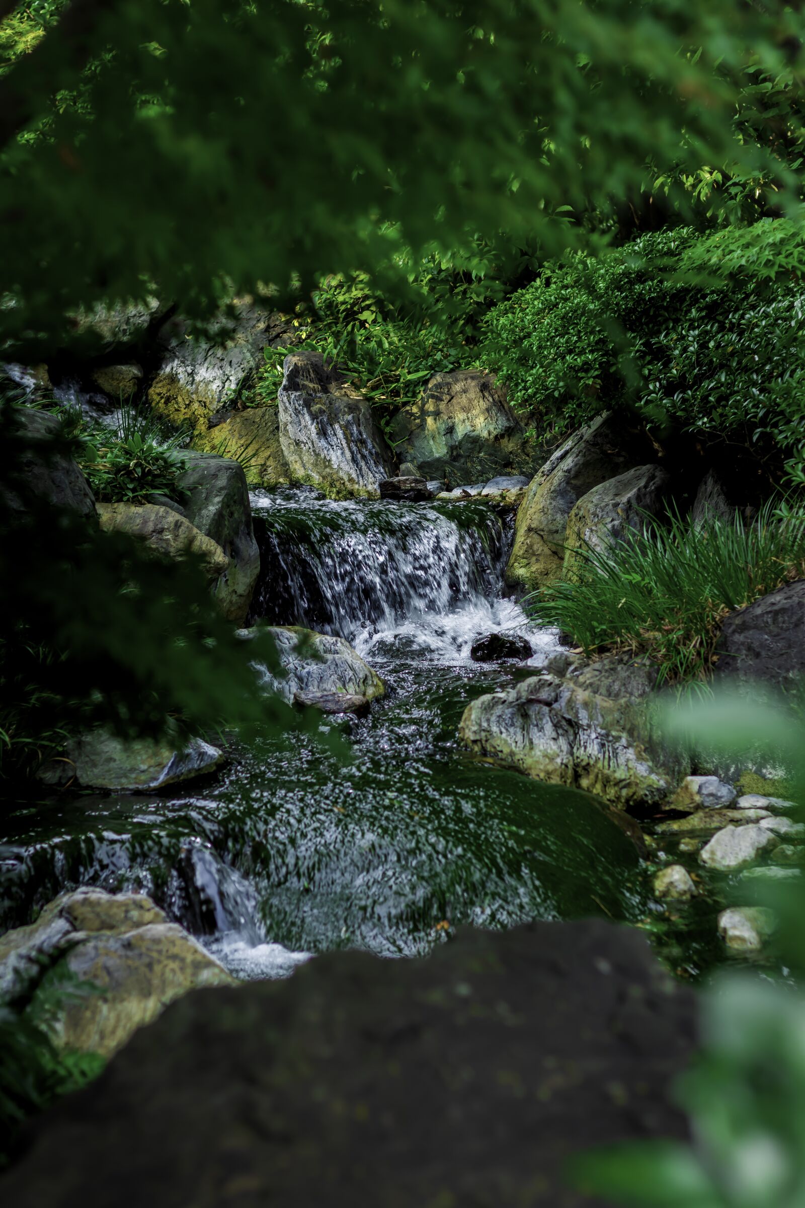 Canon EOS 80D + Canon EF 50mm F1.8 STM sample photo. Waterfall, park, natural photography