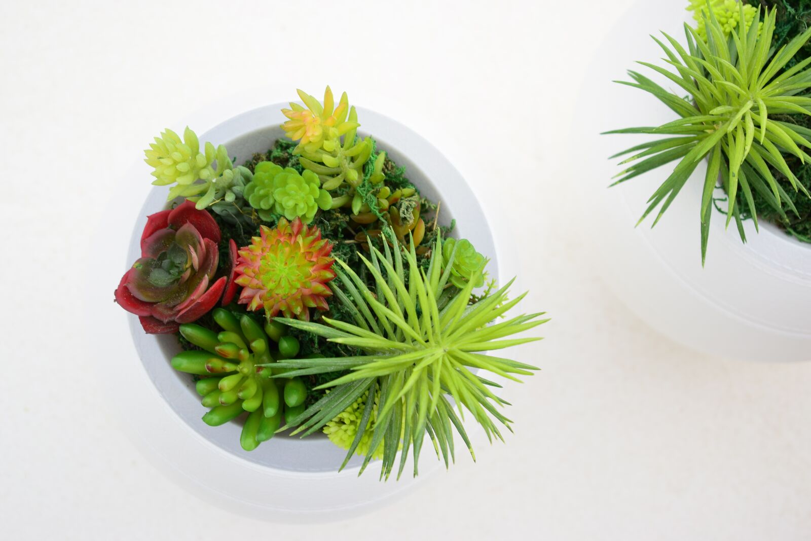 Nikon D3300 sample photo. Decoration, plants, funeral urns photography