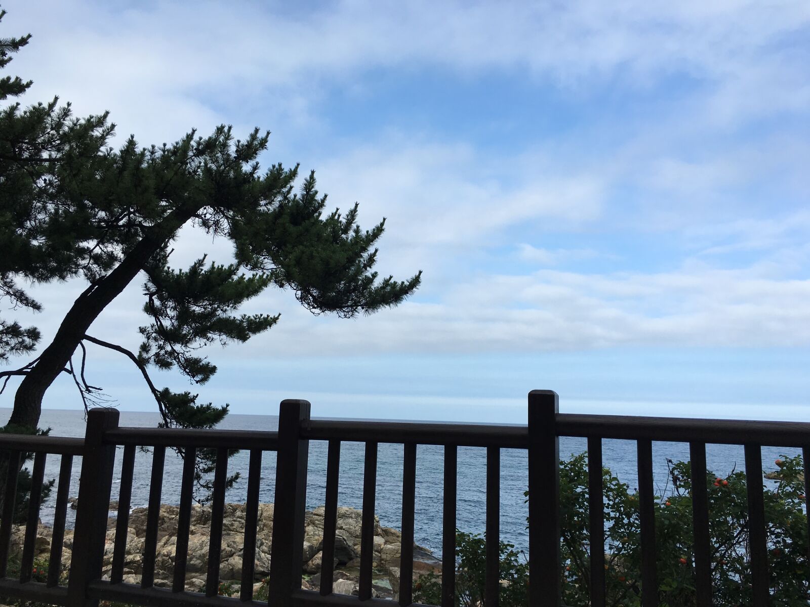 iPhone 6s back camera 4.15mm f/2.2 sample photo. Gangneung, blue sky, break photography