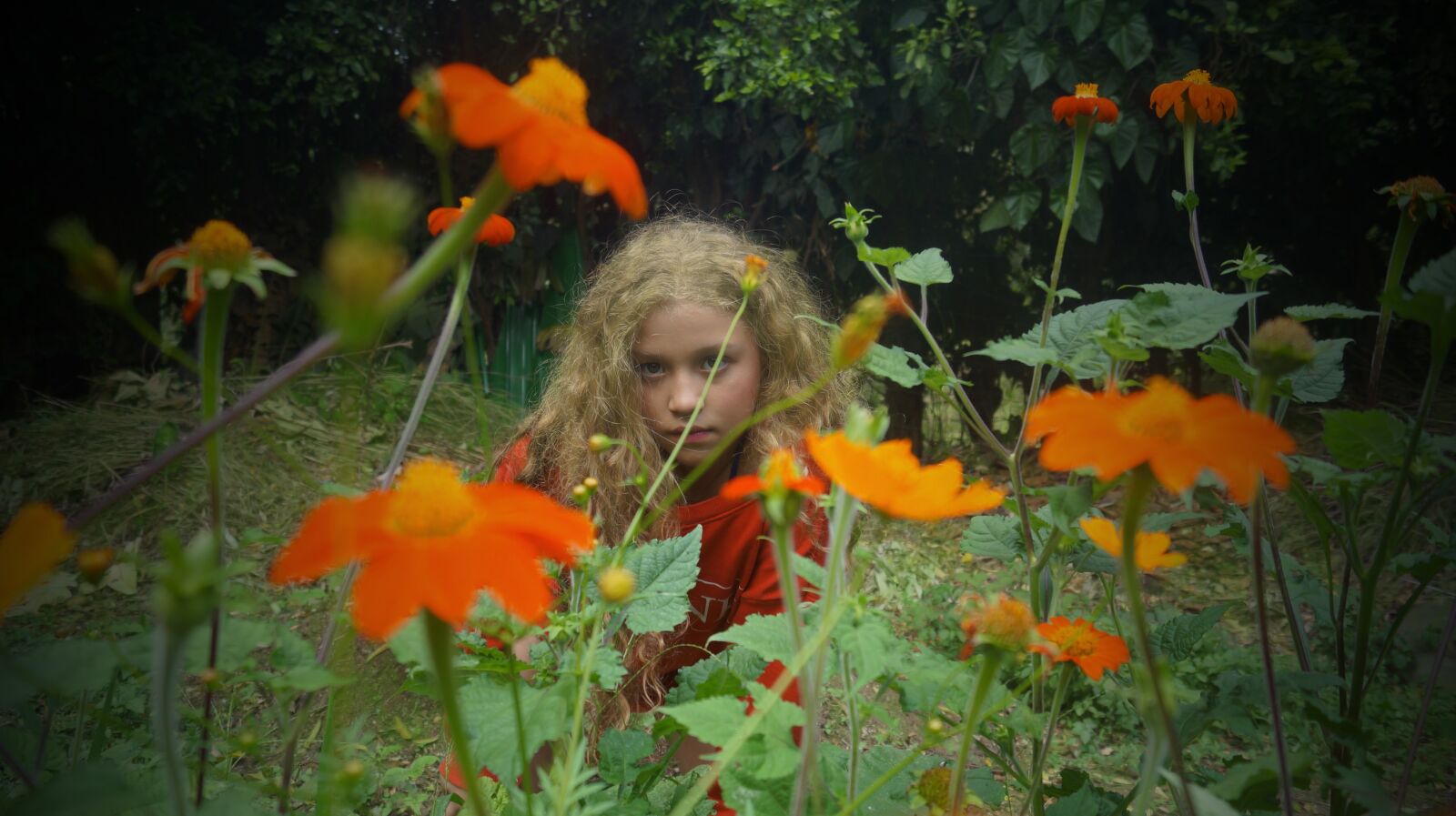 Sony SLT-A37 + Sony DT 18-55mm F3.5-5.6 SAM sample photo. Girl, flowers, beauty photography