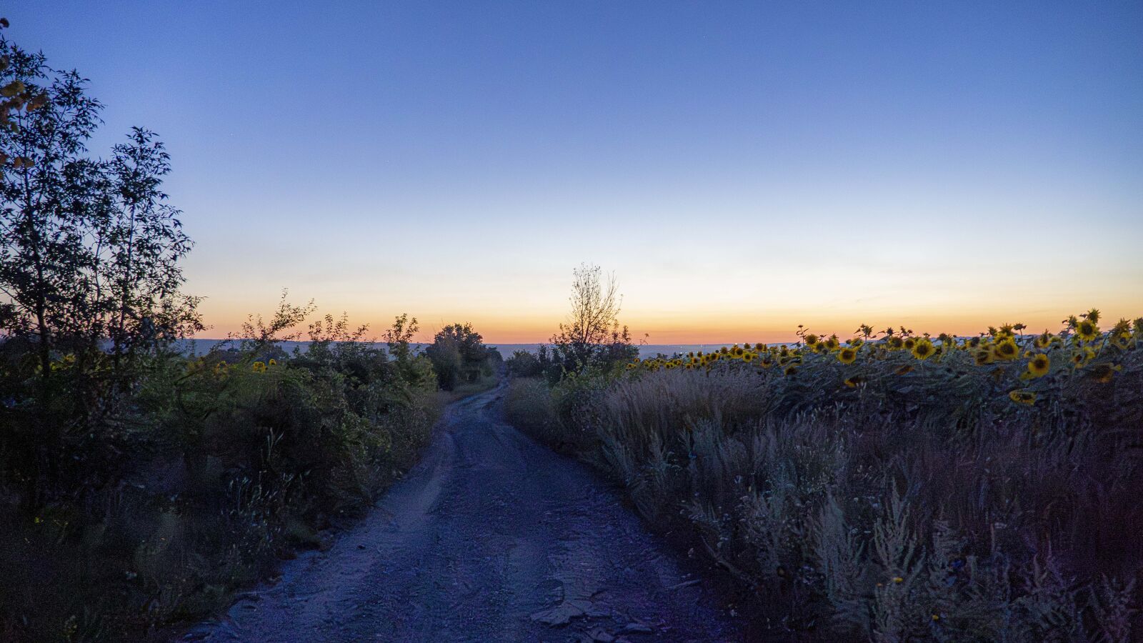 Sony a7 III + Sony FE 24-105mm F4 G OSS sample photo