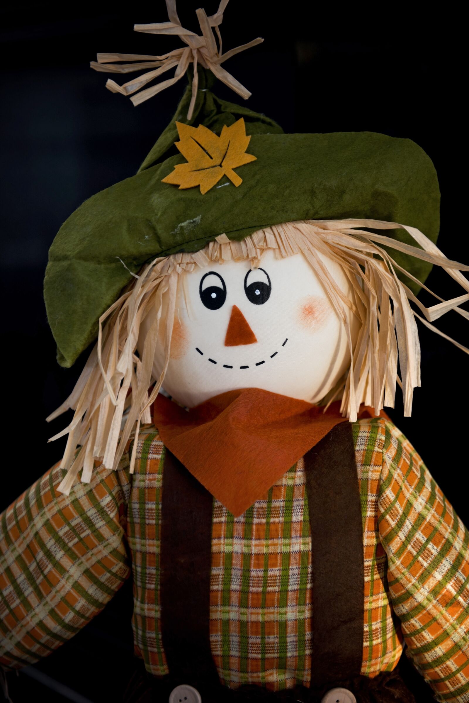 Nikon D810 sample photo. Scarecrow, fall, harvest photography