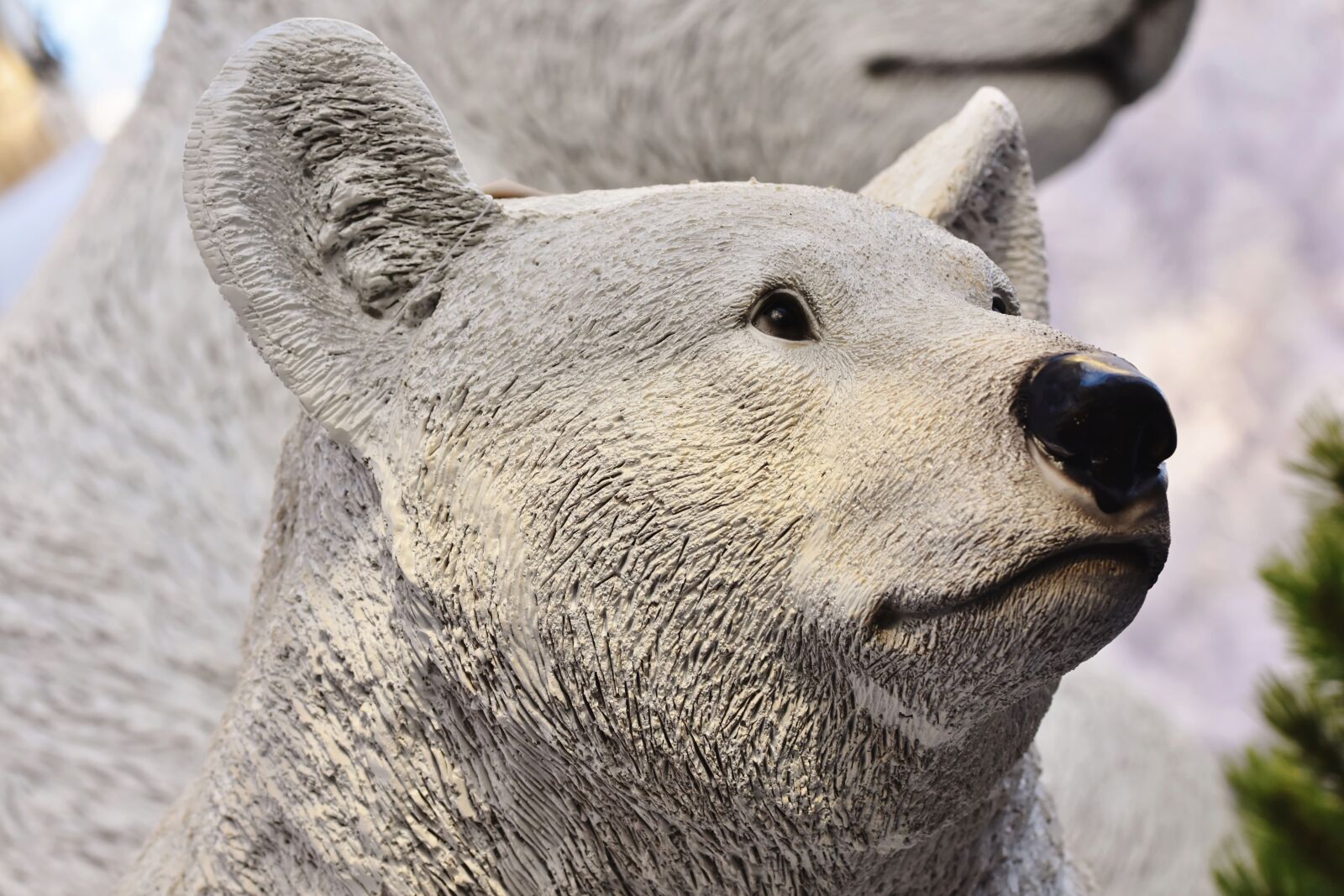 Nikon D7200 sample photo. Polar bear, polar bear photography