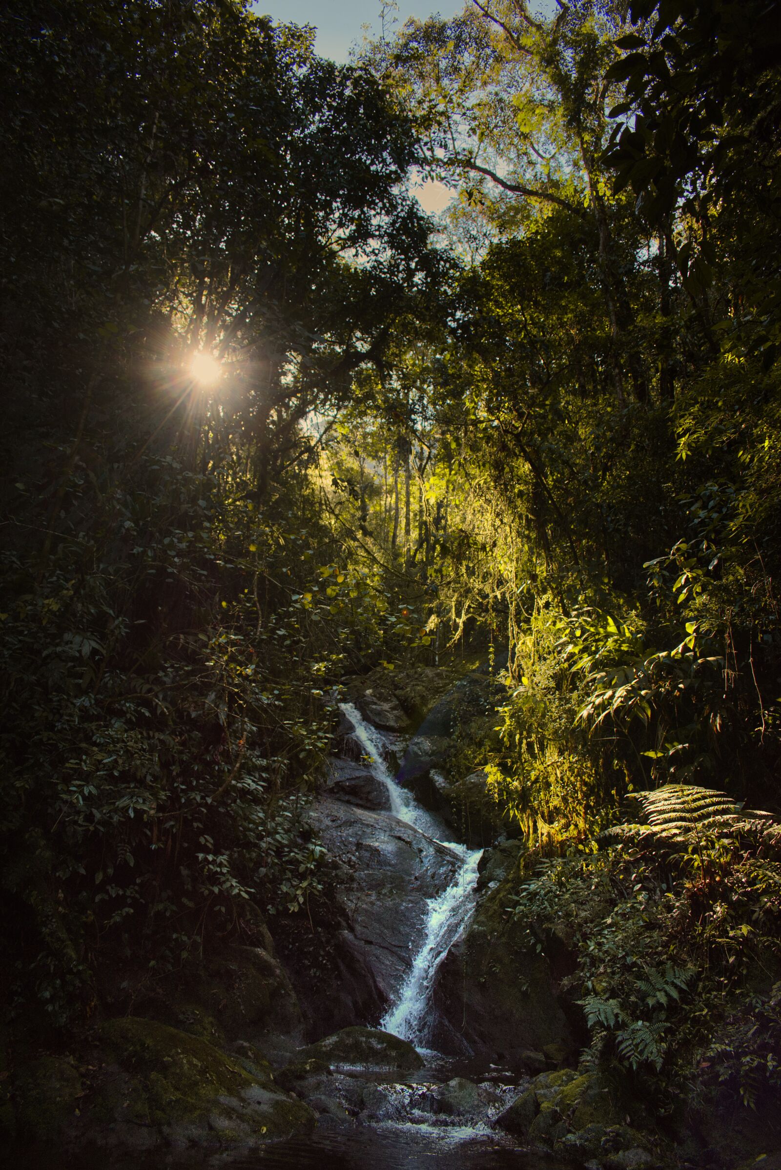 Nikon D5600 sample photo. Forest, waterfall, nature photography