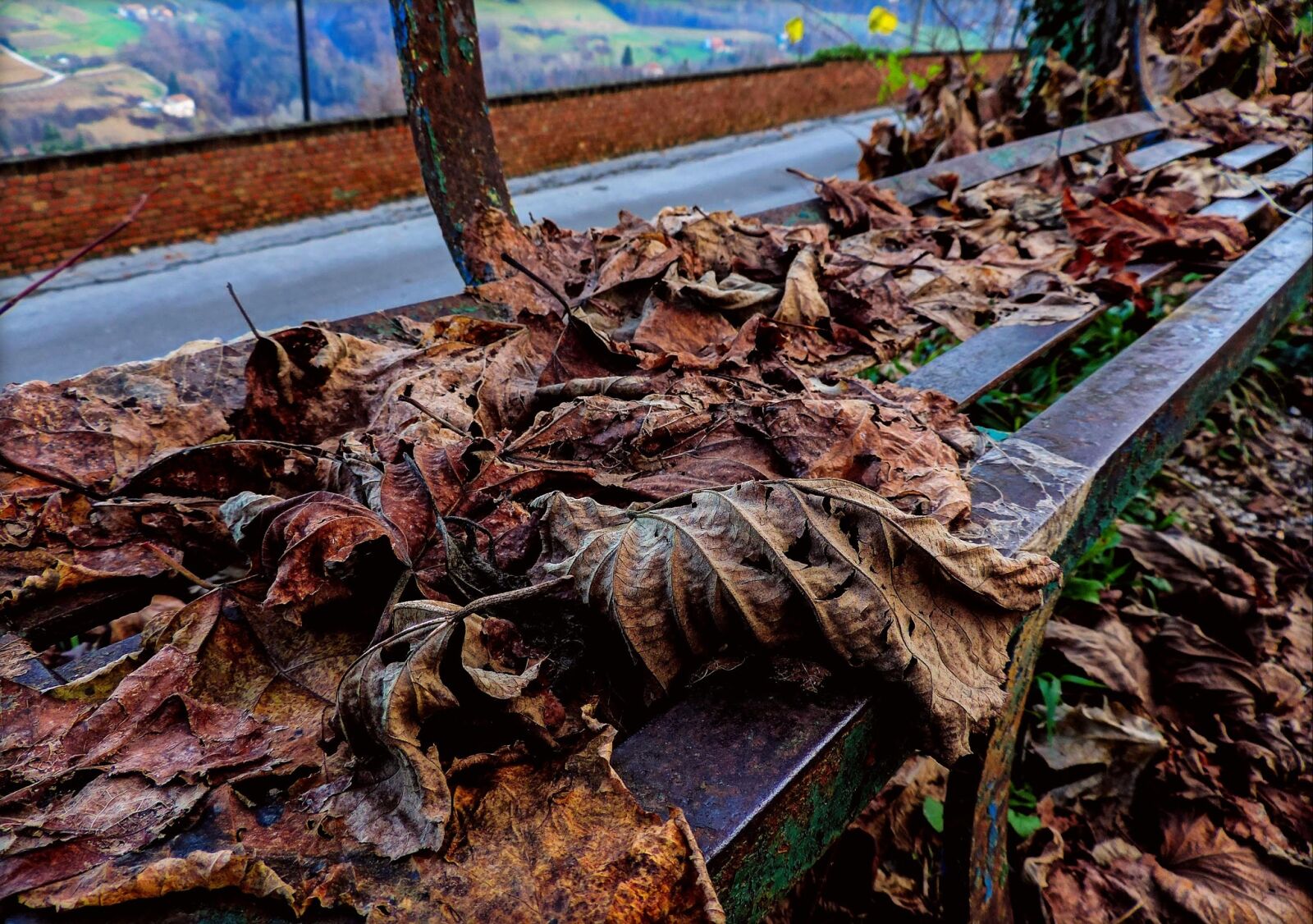 Nikon Coolpix P520 sample photo. Autumn, leaves, bench photography