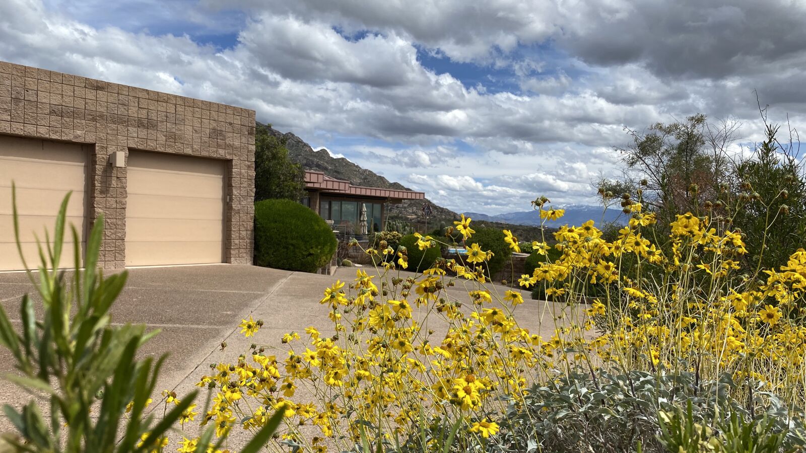 Apple iPhone 11 Pro Max sample photo. Tucson, az, landscape photography