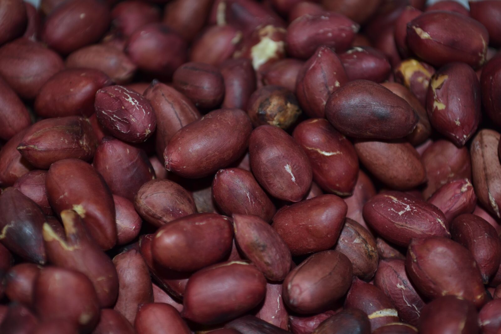 Nikon D3100 sample photo. Peanuts, walnut, nutrition photography