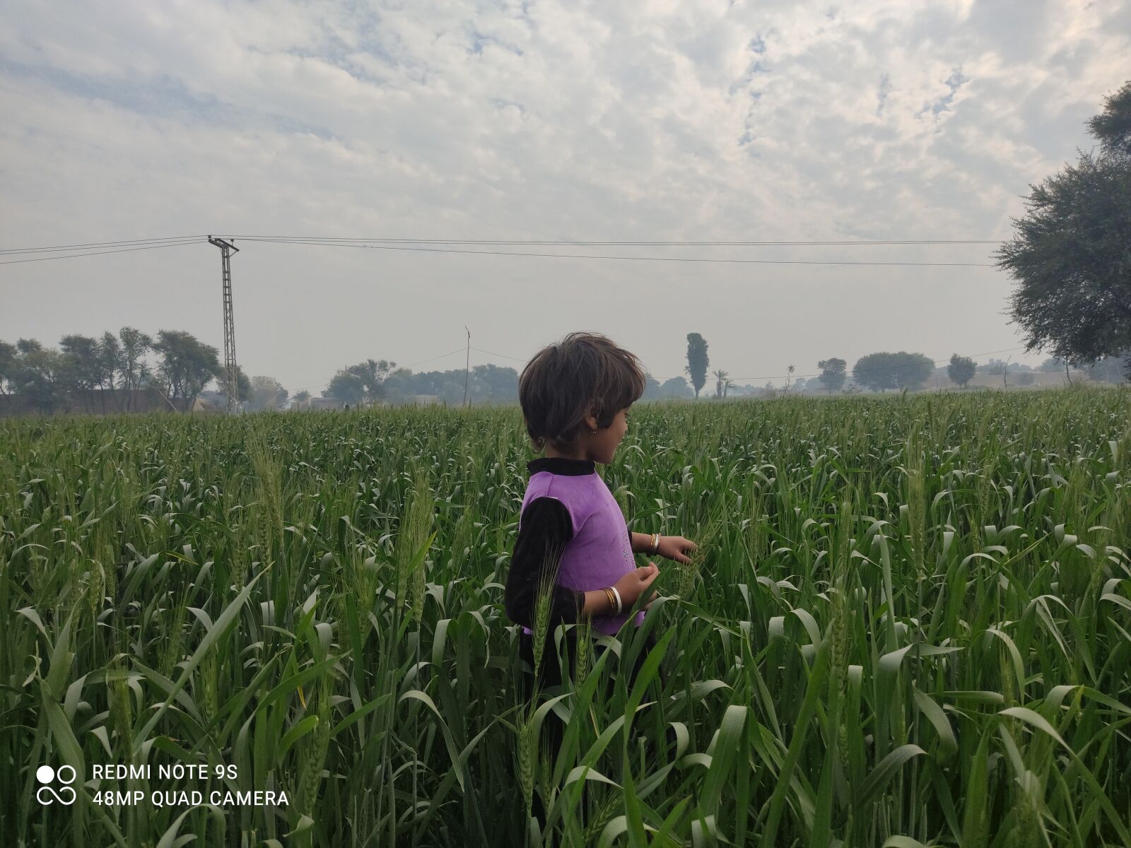 Xiaomi Redmi Note 9S sample photo. Child enjoying wheaty season photography