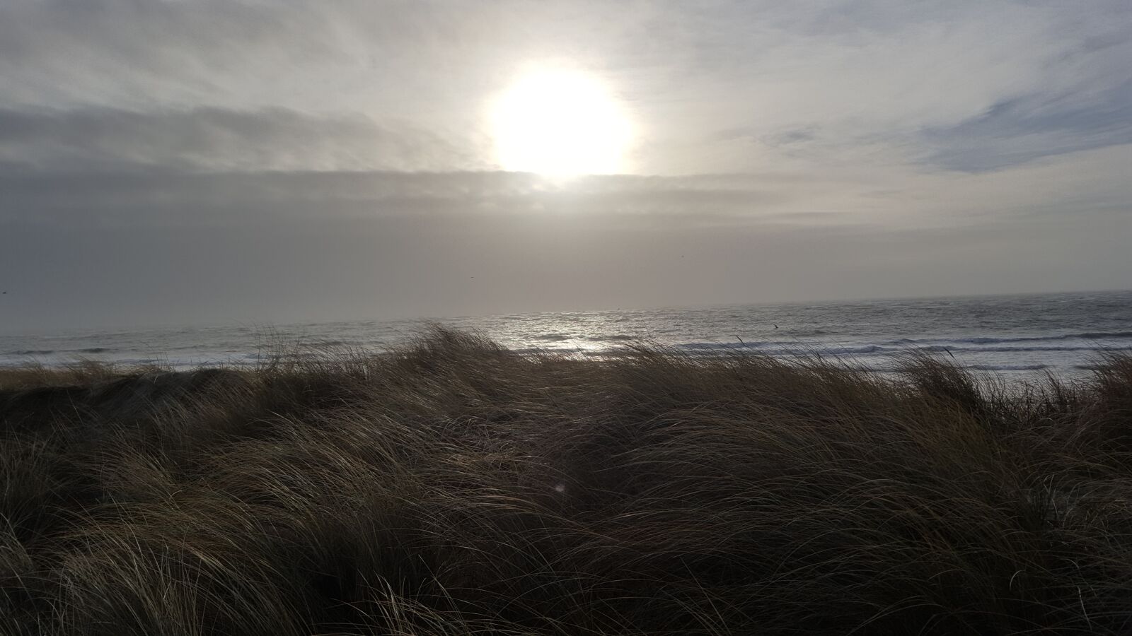 Samsung Galaxy S6 sample photo. Sun, sea, grass photography