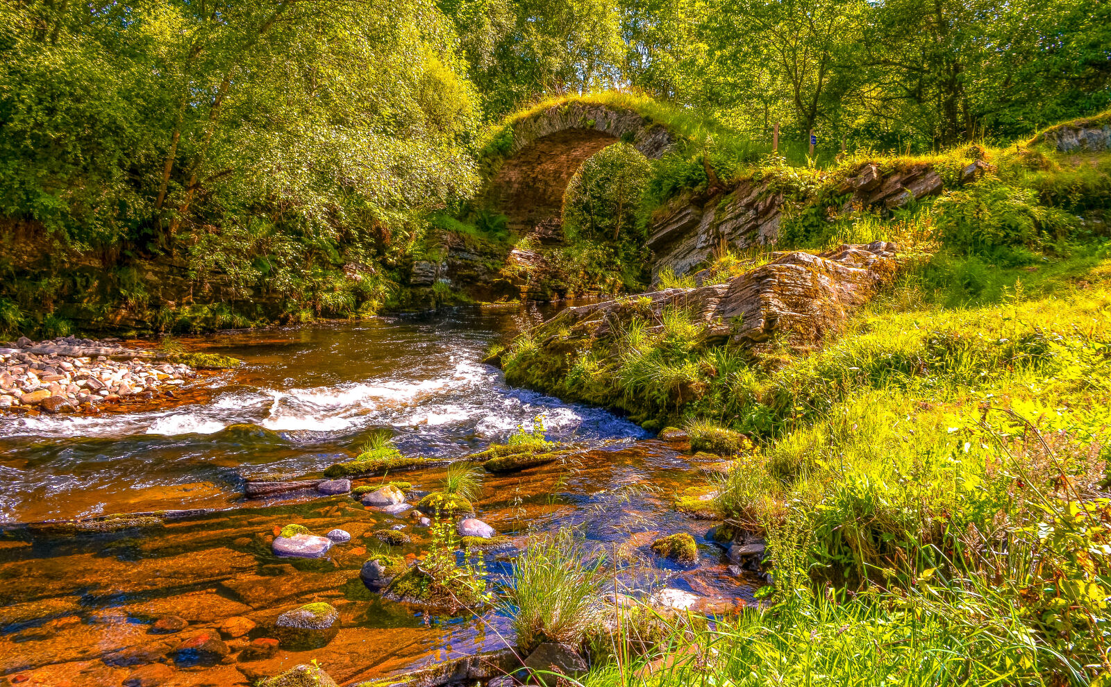Nikon D5100 sample photo. Scotland, glenlivet, bridges, river photography