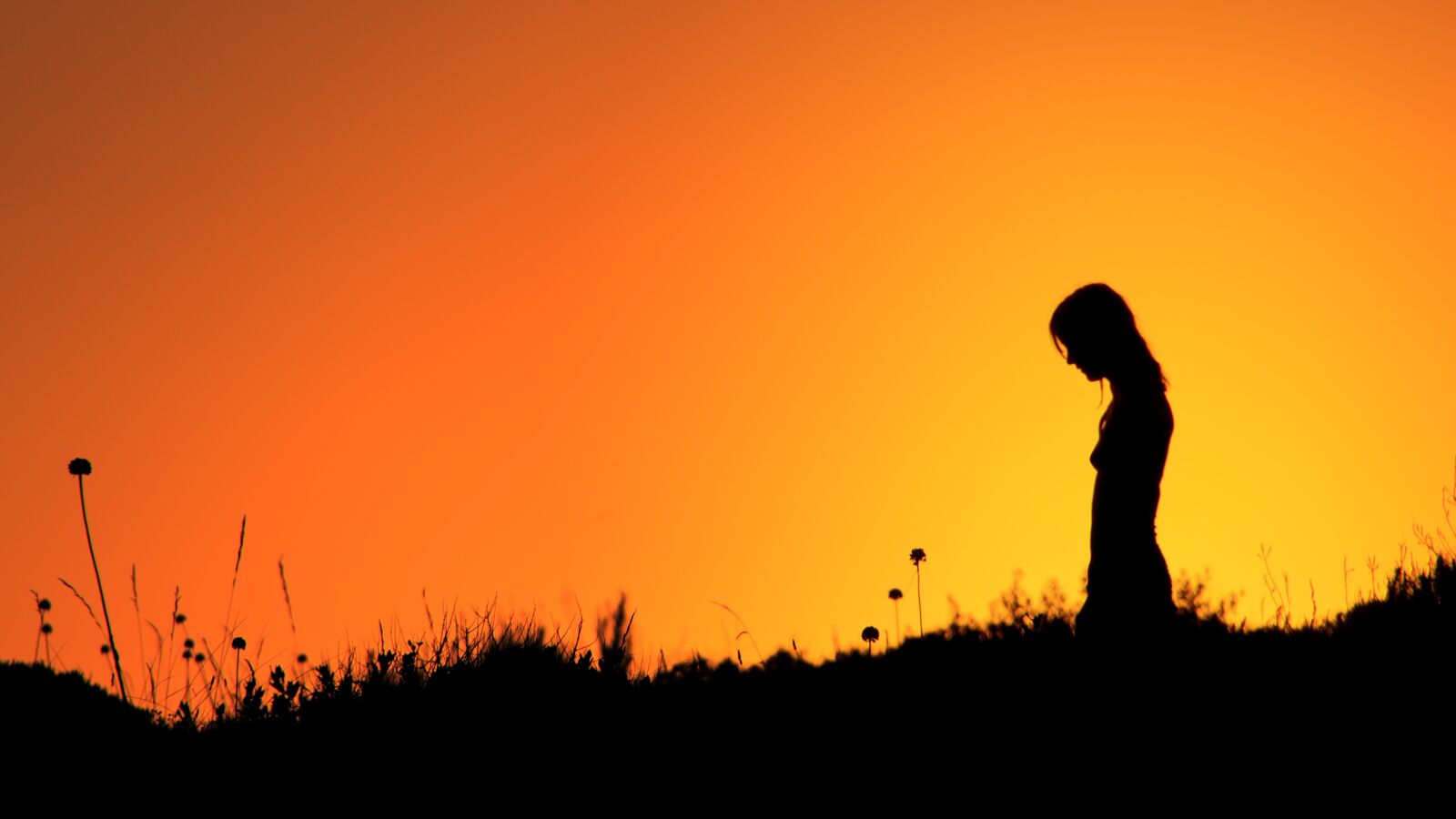 Canon EOS 500D (EOS Rebel T1i / EOS Kiss X3) sample photo. Sunset, dawn, silhouette photography