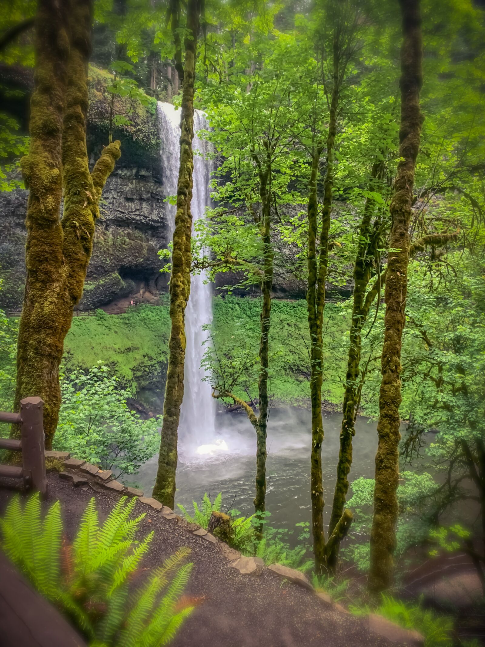 iPhone XR back camera 4.25mm f/1.8 sample photo. Silvercreekfalls, oregon, waterfall photography