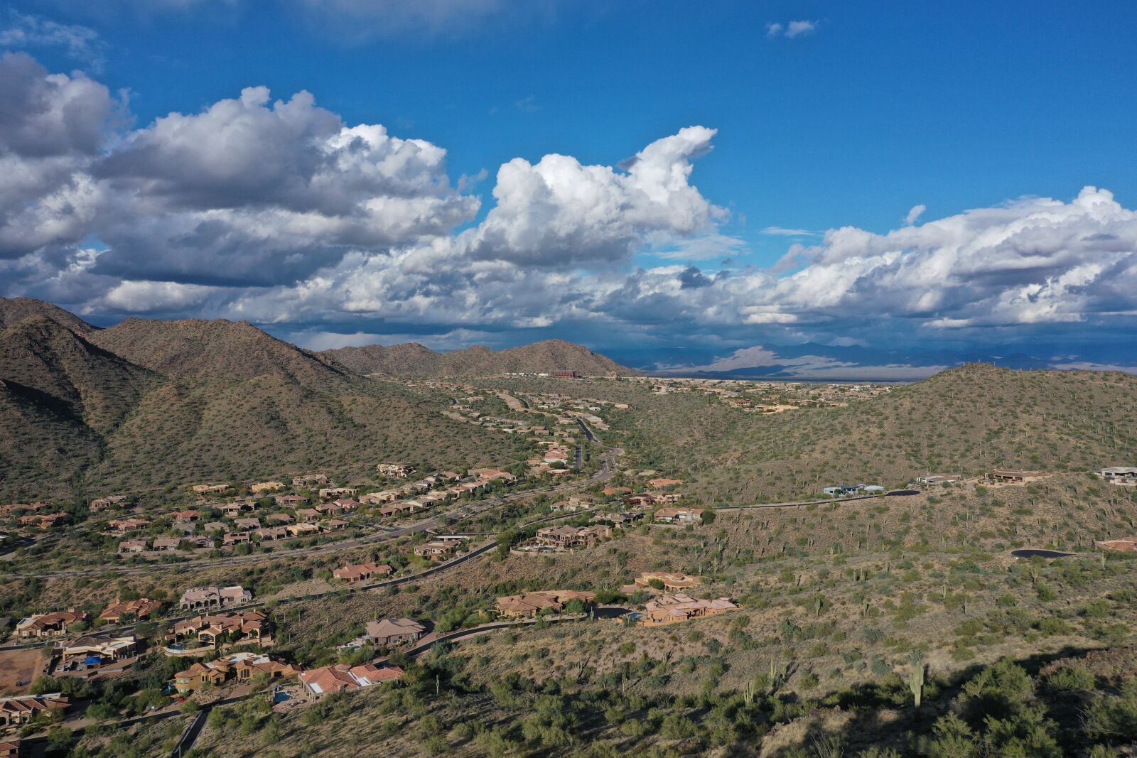 Hasselblad L1D-20c sample photo. Arizona, scottsdale, desert photography