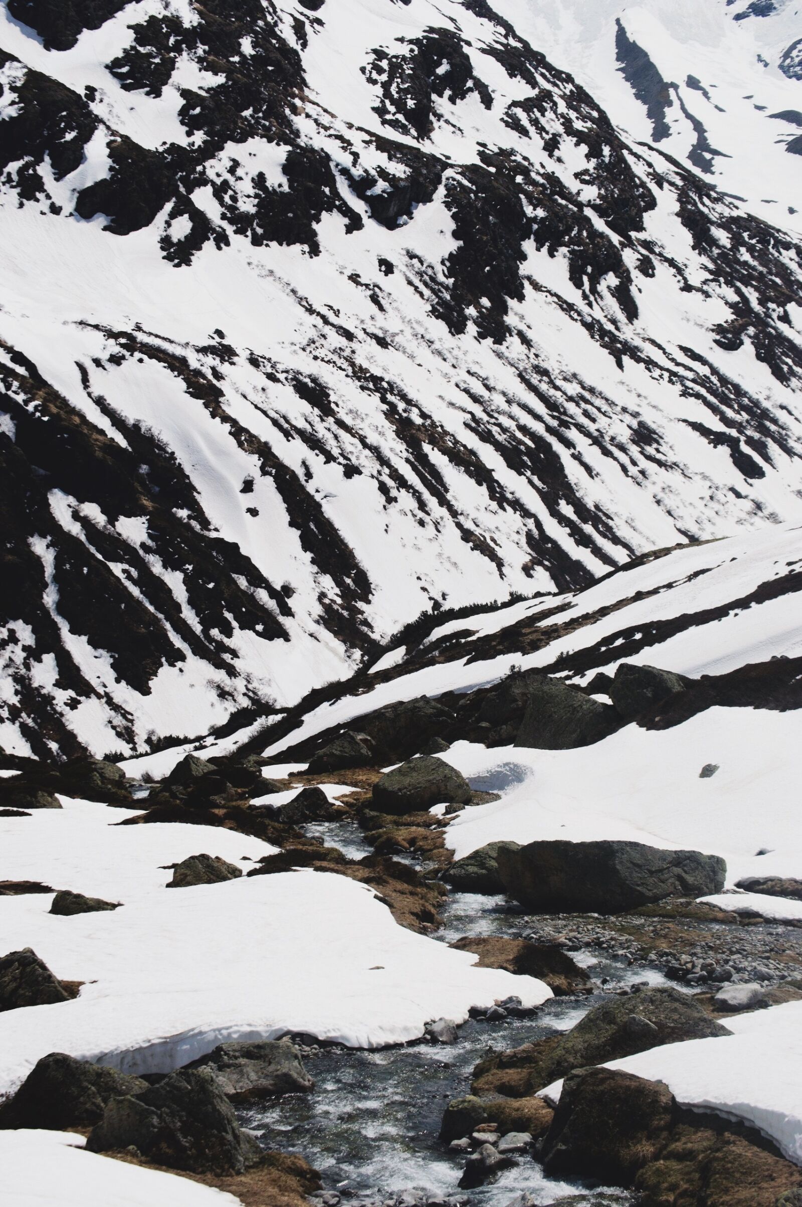 Nikon D3200 sample photo. Alps, switzerland, snow photography