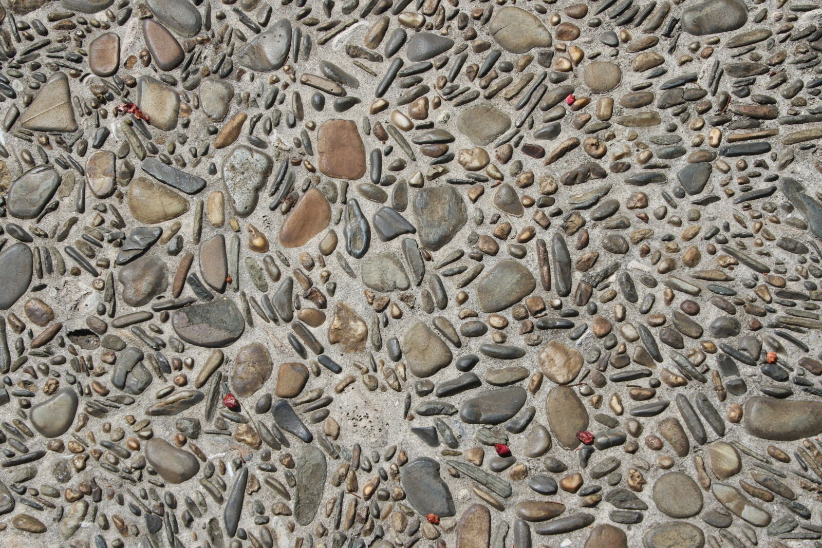 Canon EOS 7D Mark II sample photo. Pavement, pebbles, texture photography