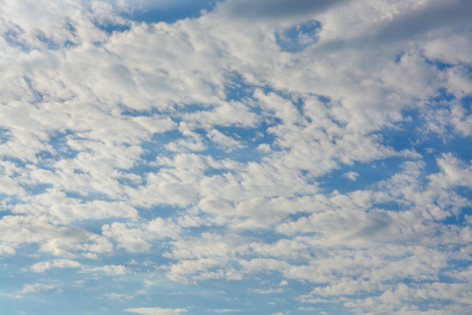 Nikon D5200 sample photo. Clouds, white clouds, cloudy photography