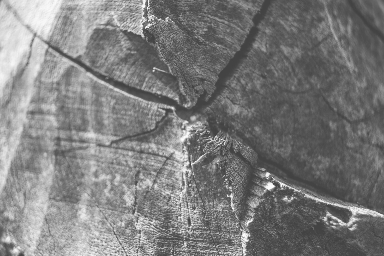 Sony Alpha DSLR-A390 sample photo. Abstract, art, black, and photography