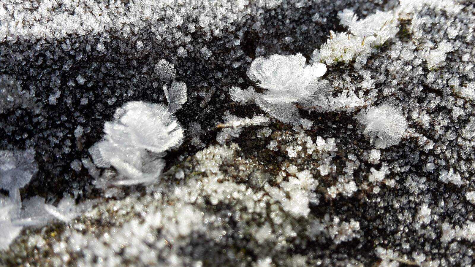 Samsung Galaxy S5 Mini sample photo. Frost, hardest, winter magic photography