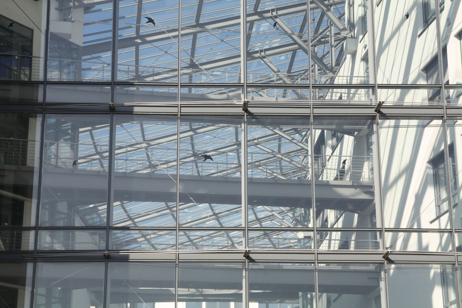 Canon EOS 450D (EOS Rebel XSi / EOS Kiss X2) sample photo. Cologne, atrium, glass photography