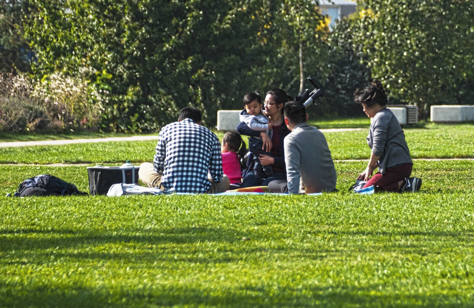Panasonic Lumix DMC-FZ1000 sample photo. Picnic, family, group of photography
