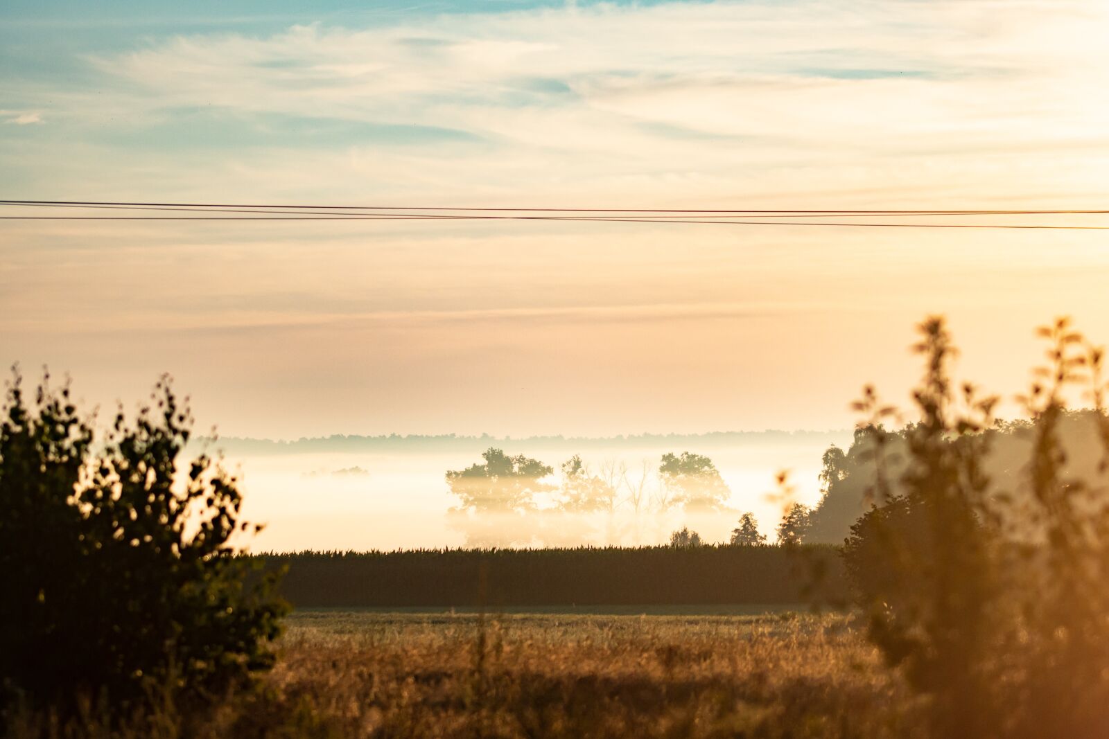 Nikon D7100 sample photo. East, sun, nature photography