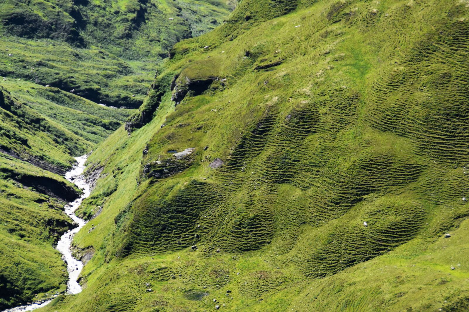 Nikon D5300 sample photo. Mountains, hill, bach photography