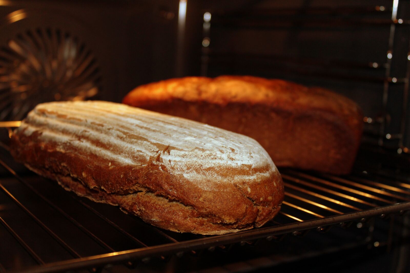 Canon EOS 1300D (EOS Rebel T6 / EOS Kiss X80) sample photo. Bread, bake, crispy photography