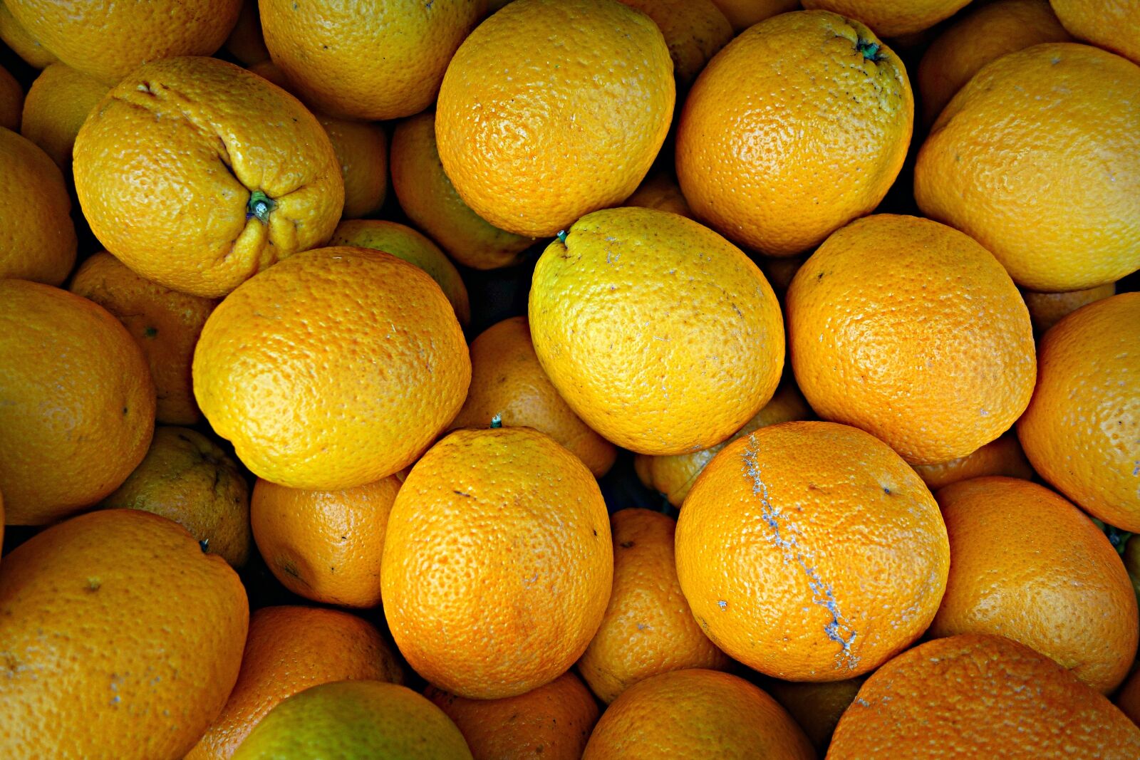 Sony Cyber-shot DSC-RX100 sample photo. Orange, citrus, fruit photography