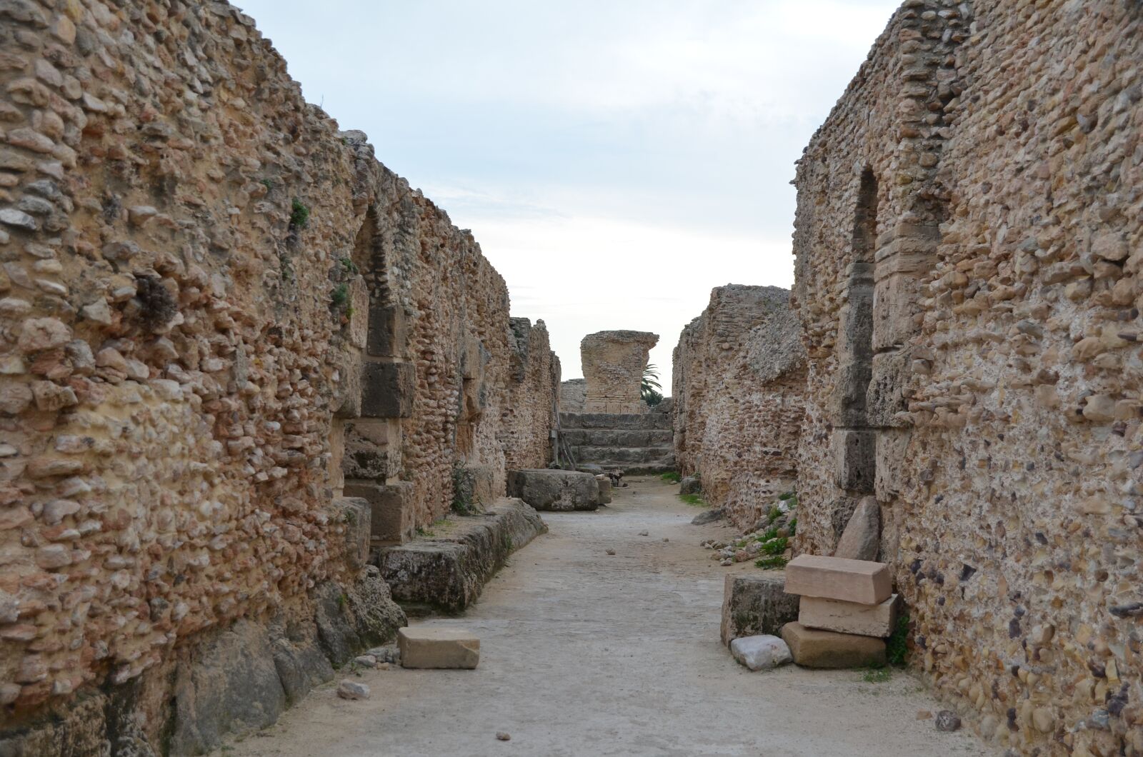 Nikon D5100 sample photo. Carthage, tunisia, roman ruins photography