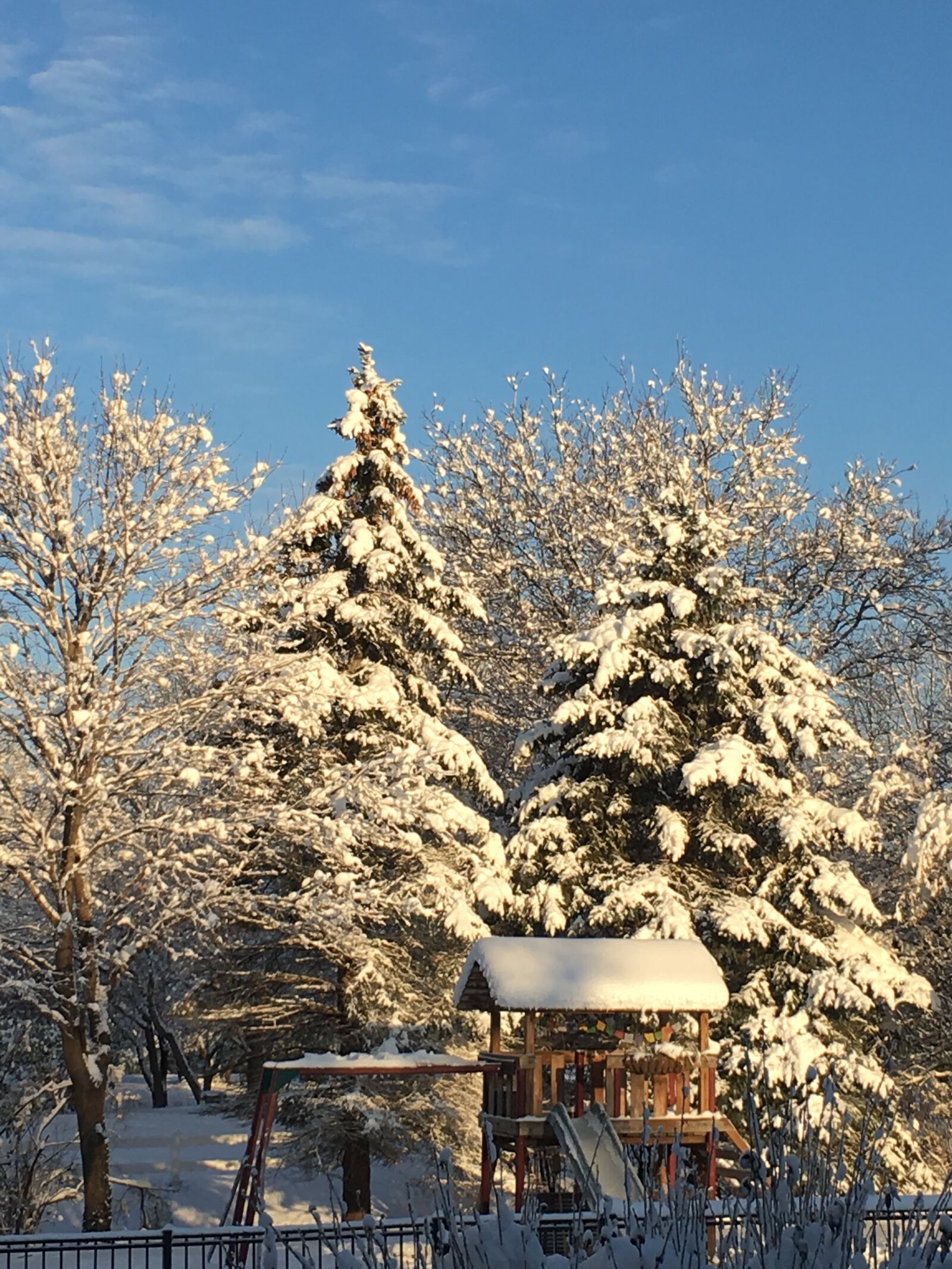 Apple iPhone 6s Plus sample photo. Winter, snow, season photography