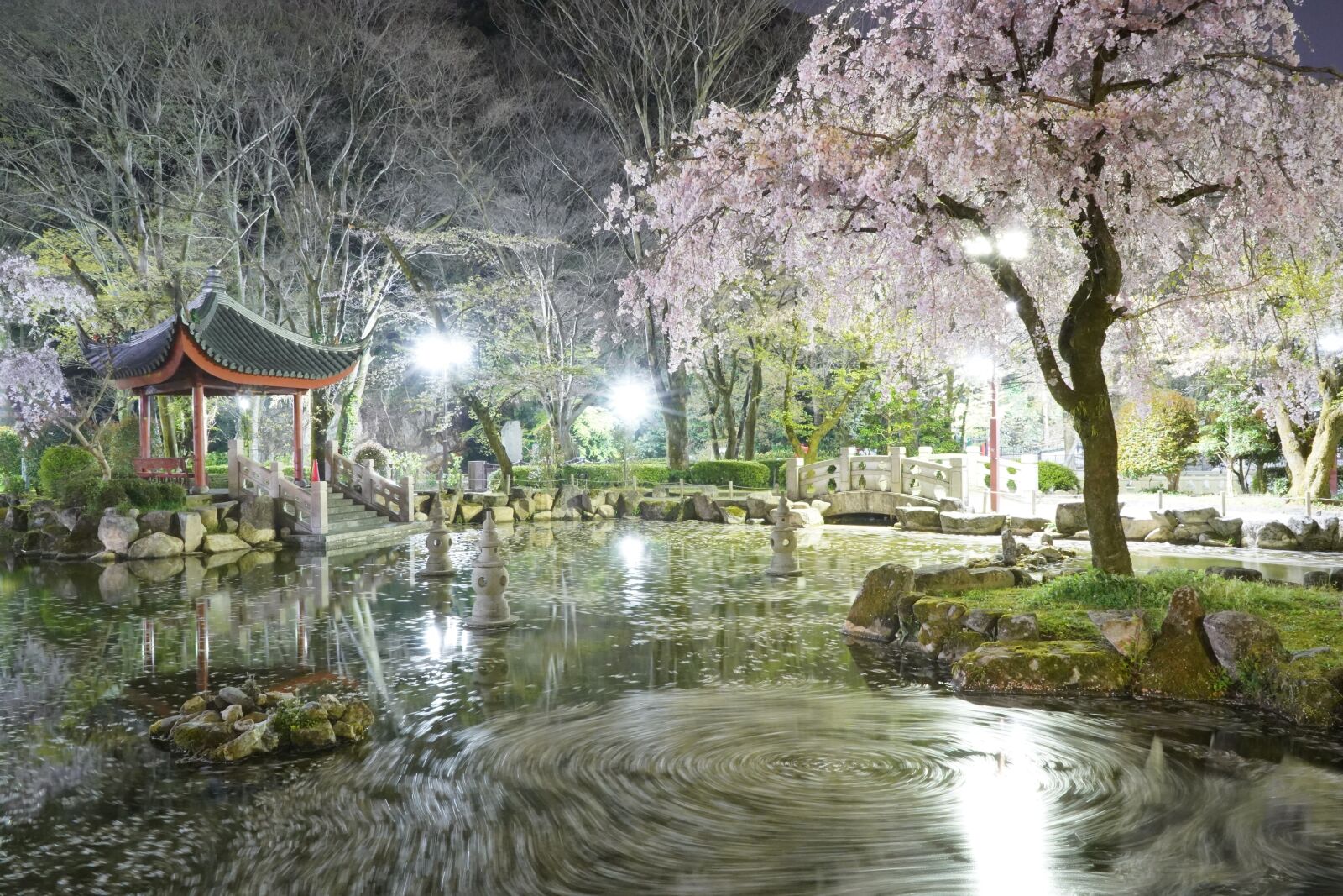 Sony FE 28-70mm F3.5-5.6 OSS sample photo. Pond, park, water photography