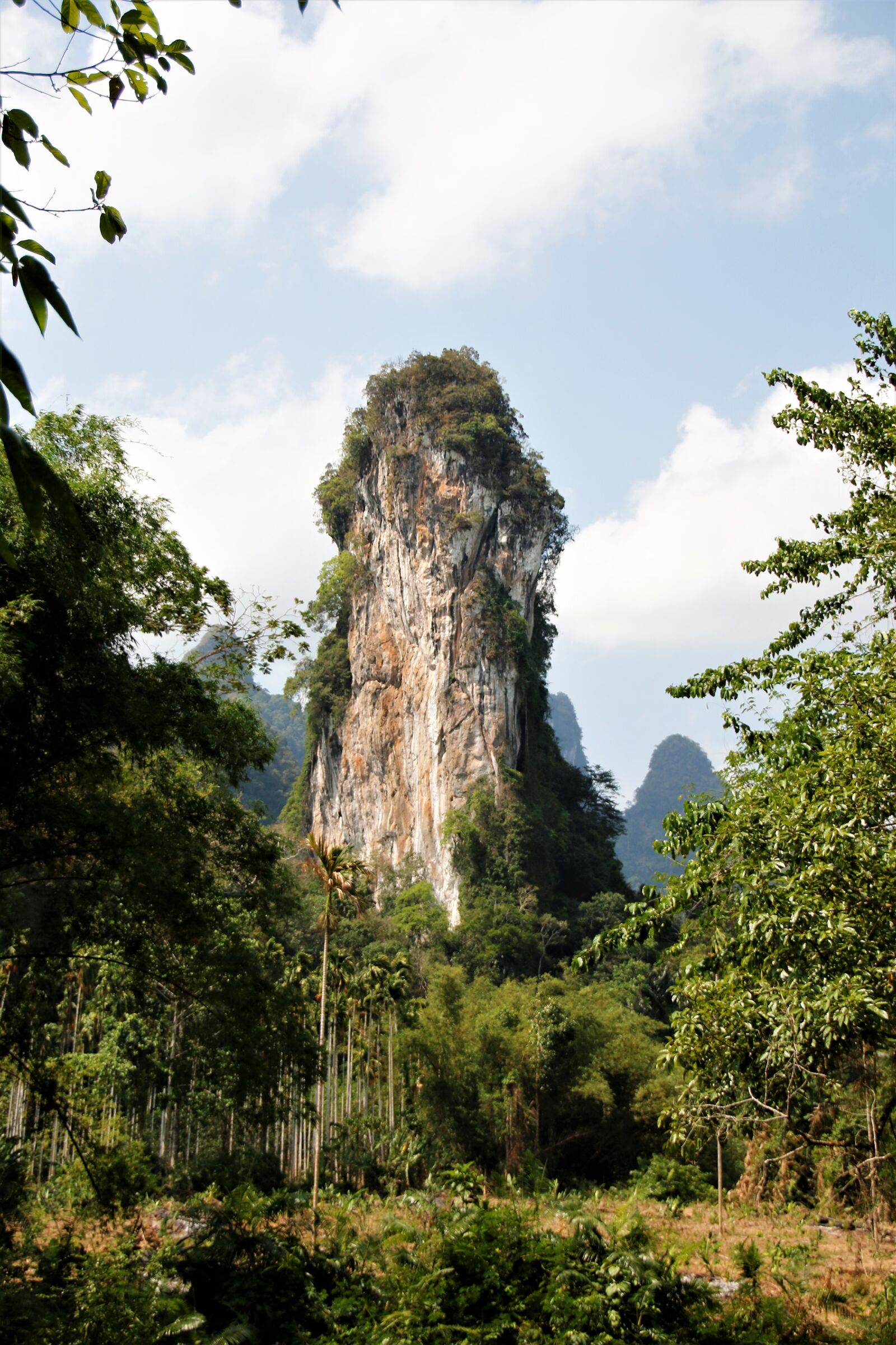Canon EOS 70D sample photo. Asia, jungle, mountain photography