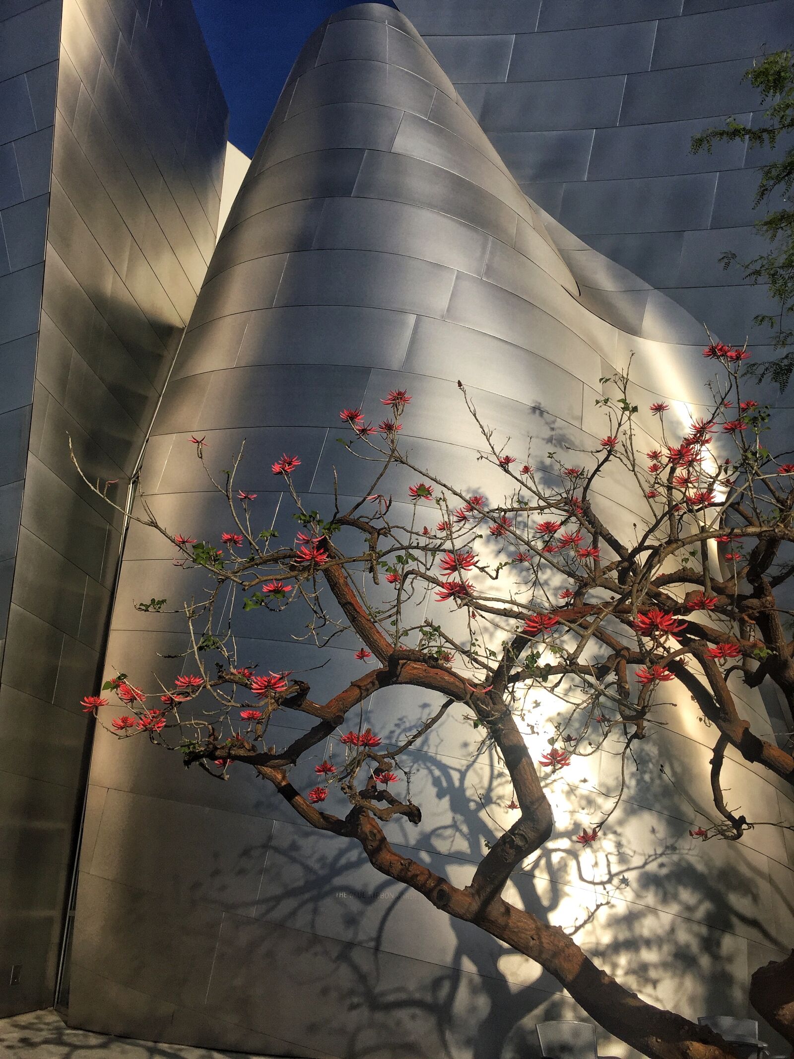 Apple iPhone 6 sample photo. Architecture, design, flowers photography
