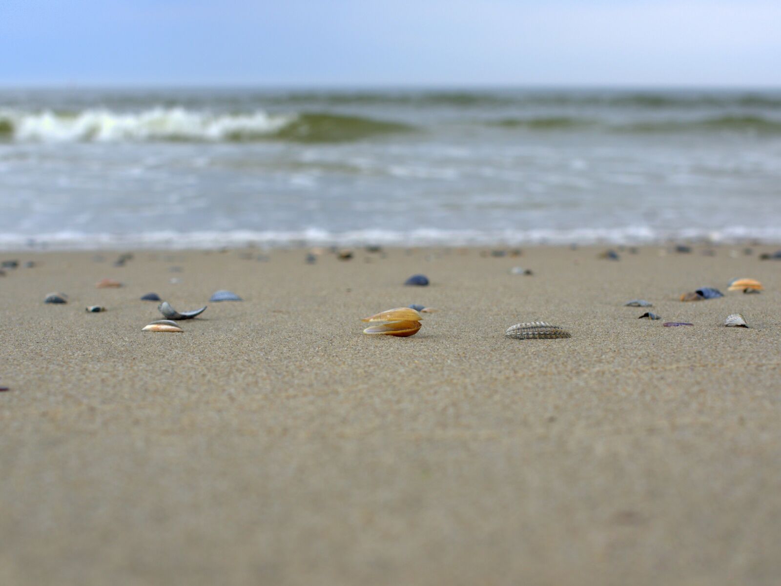 Pentax K-70 sample photo. Mussels, beach, sand photography