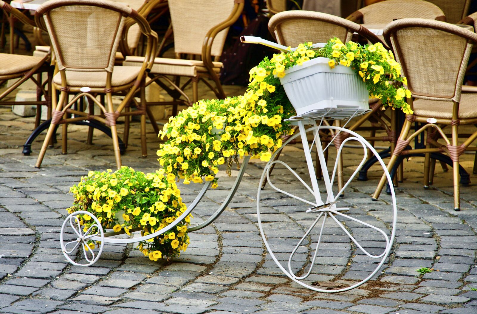 Sony a6500 sample photo. Decoration, bike, bicycle photography