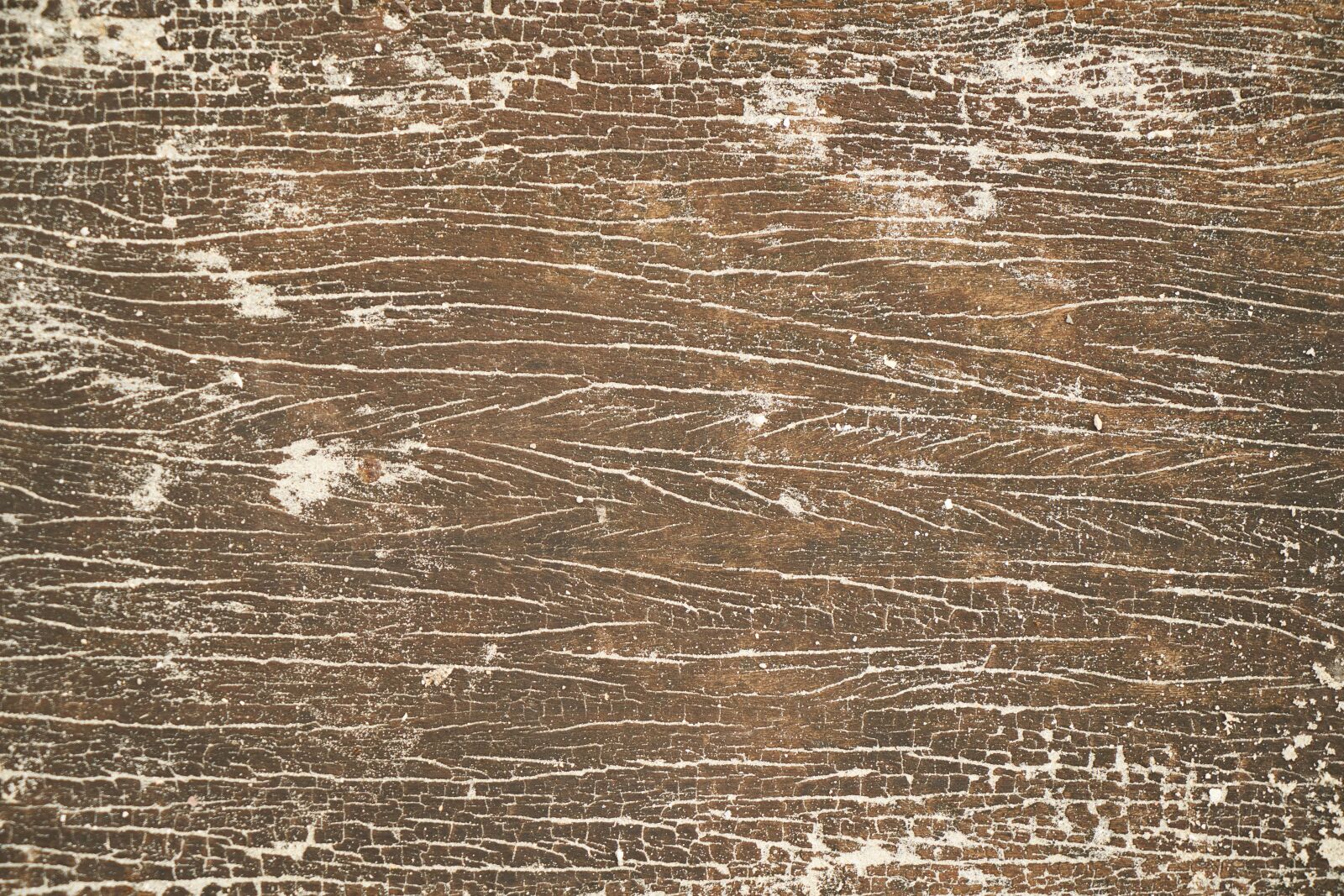 Sony a7R II sample photo. Wood-fibre boards, texture, wood photography