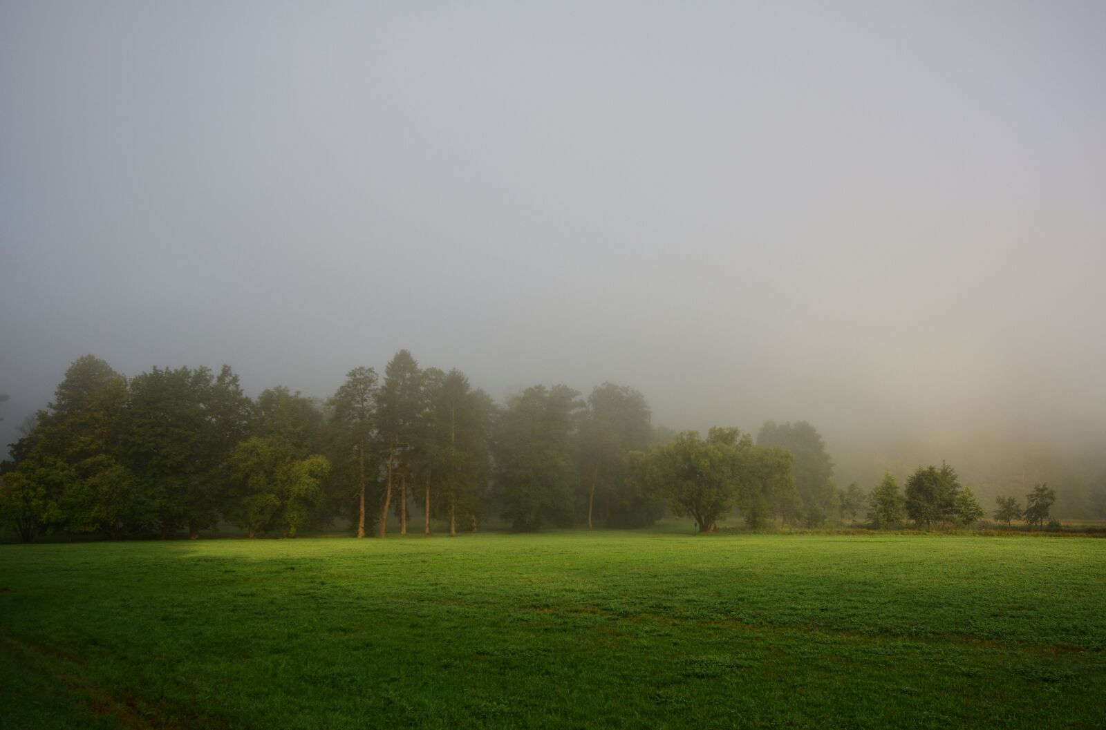 Nikon D5200 sample photo. Landscape, nature, fog photography