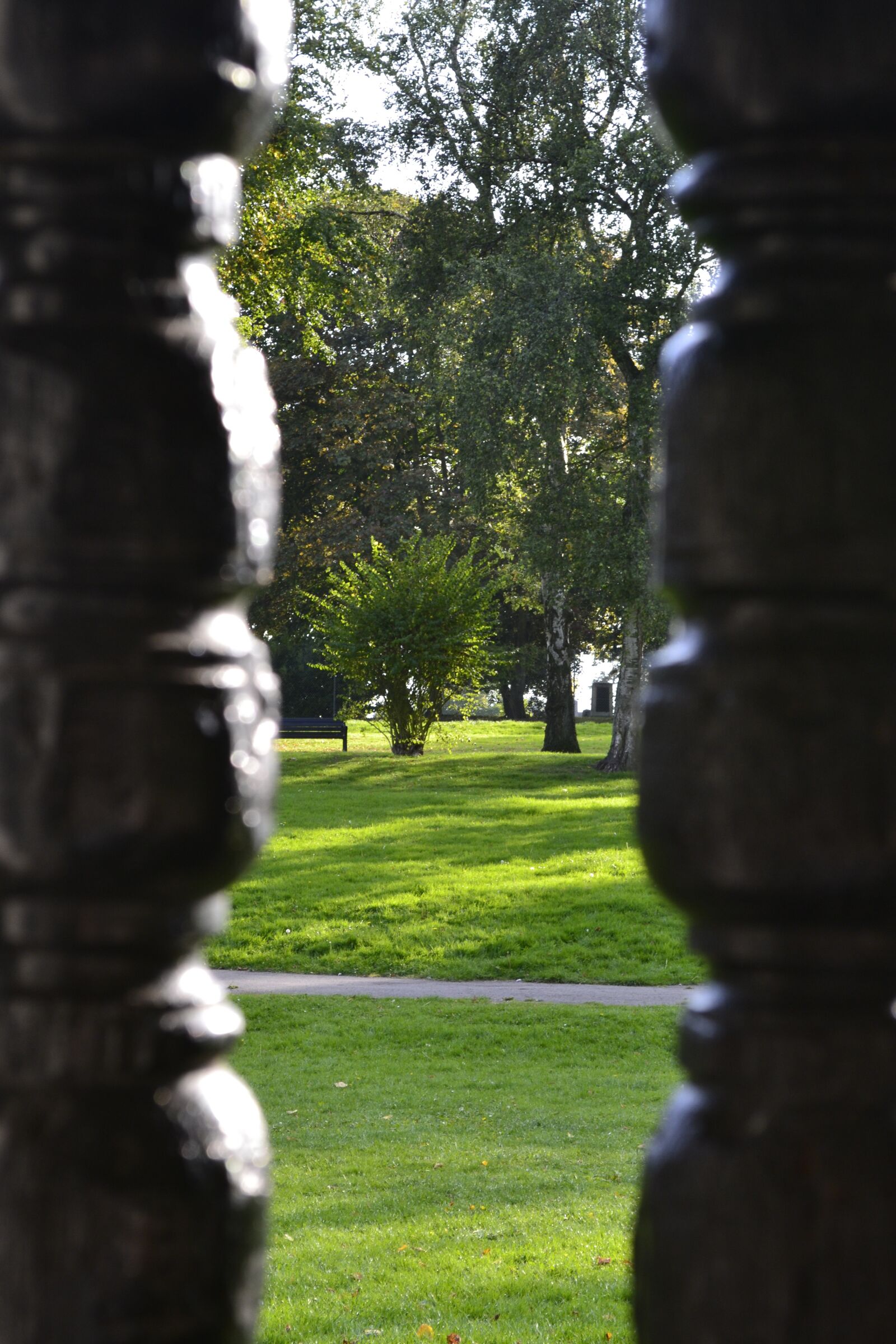 Nikon D3100 sample photo. Park, view, landscape photography