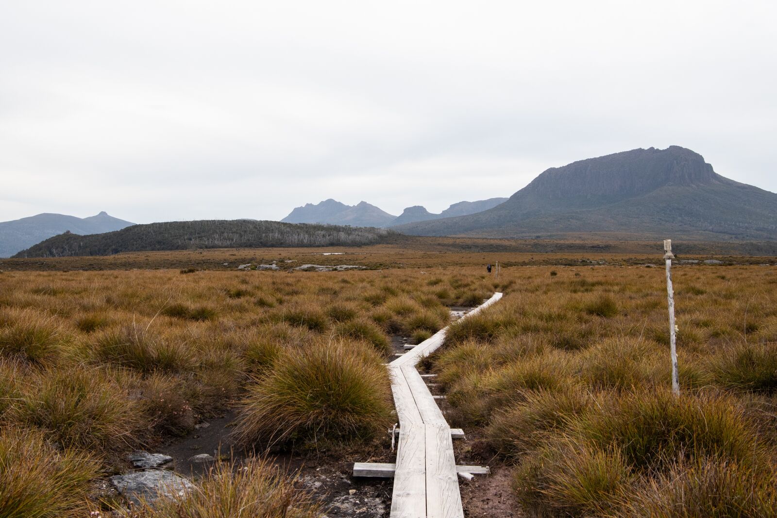 Nikon D750 sample photo. Overland track, tasmania, hike photography
