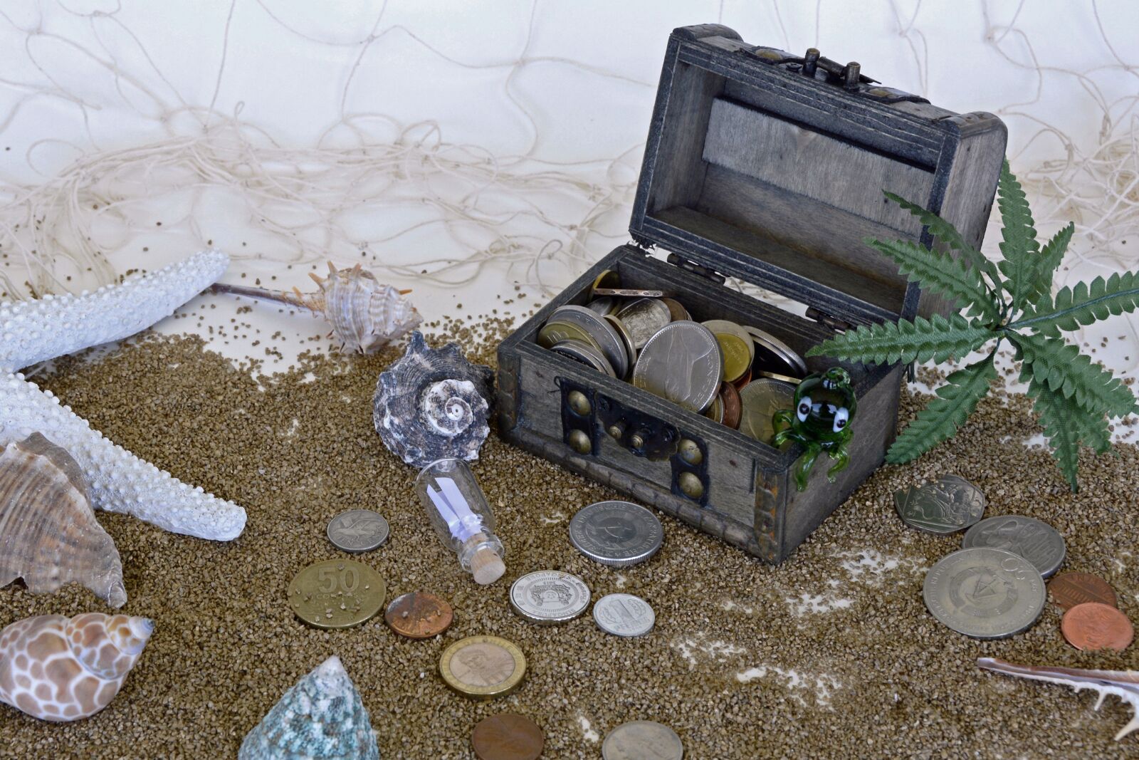 Nikon D7100 sample photo. Treasure chest, sand, squid photography