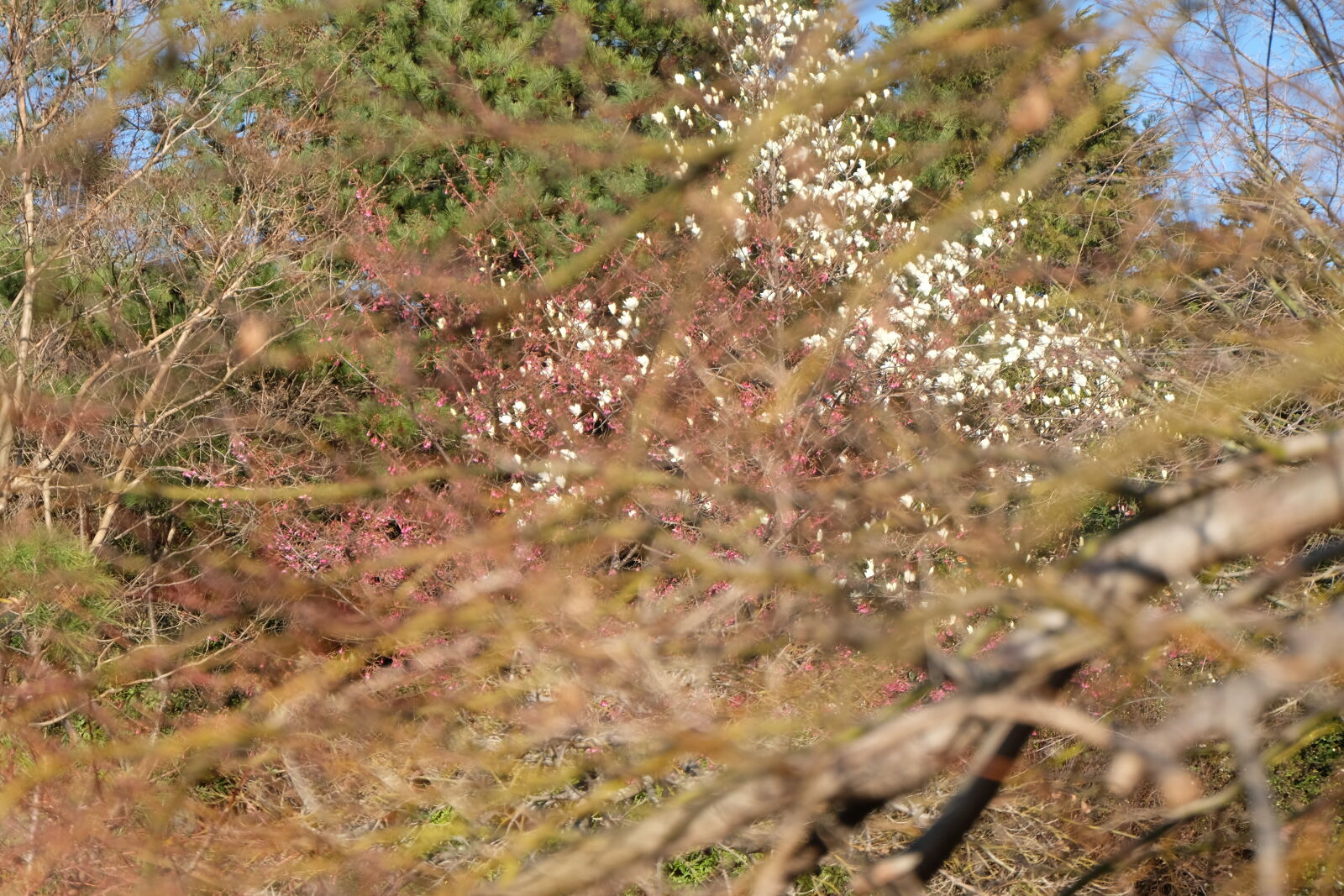 Fujifilm X-M1 sample photo