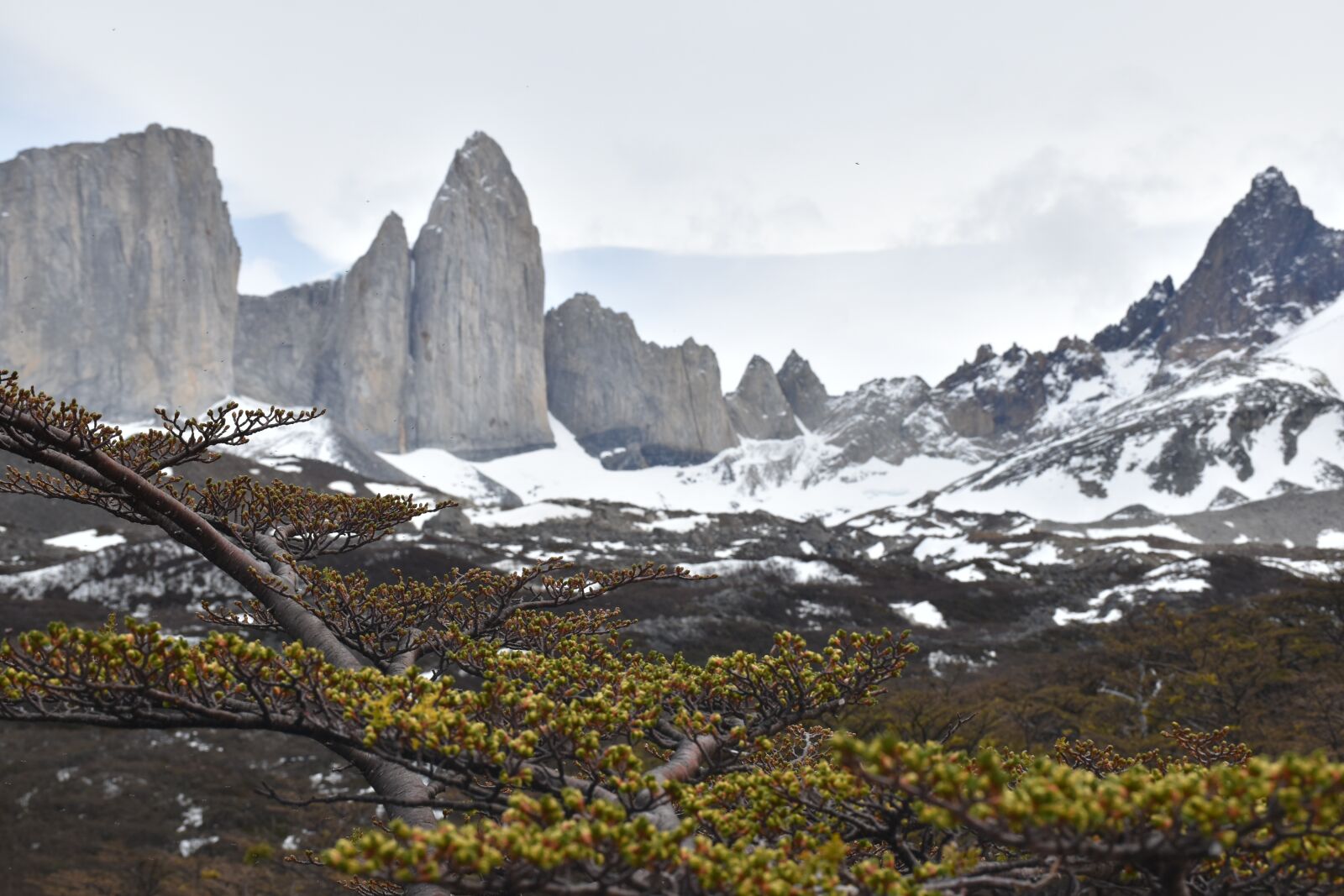 Nikon D5500 sample photo. Patagonia, torres del paine photography