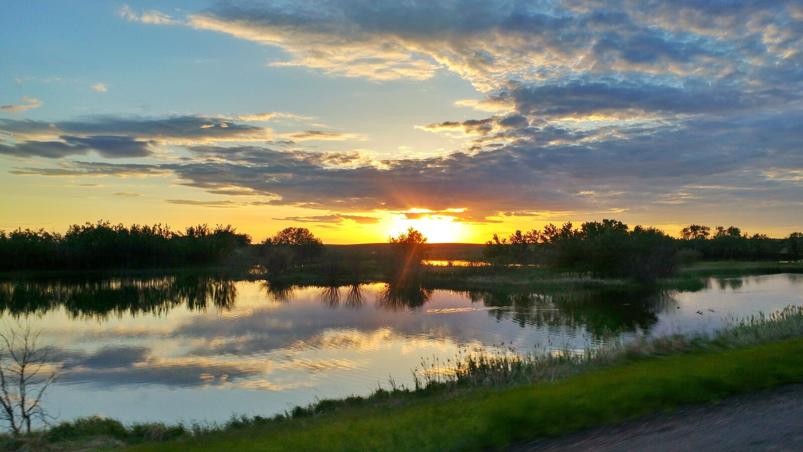 LG G5 sample photo. Sunset, golden, summer photography