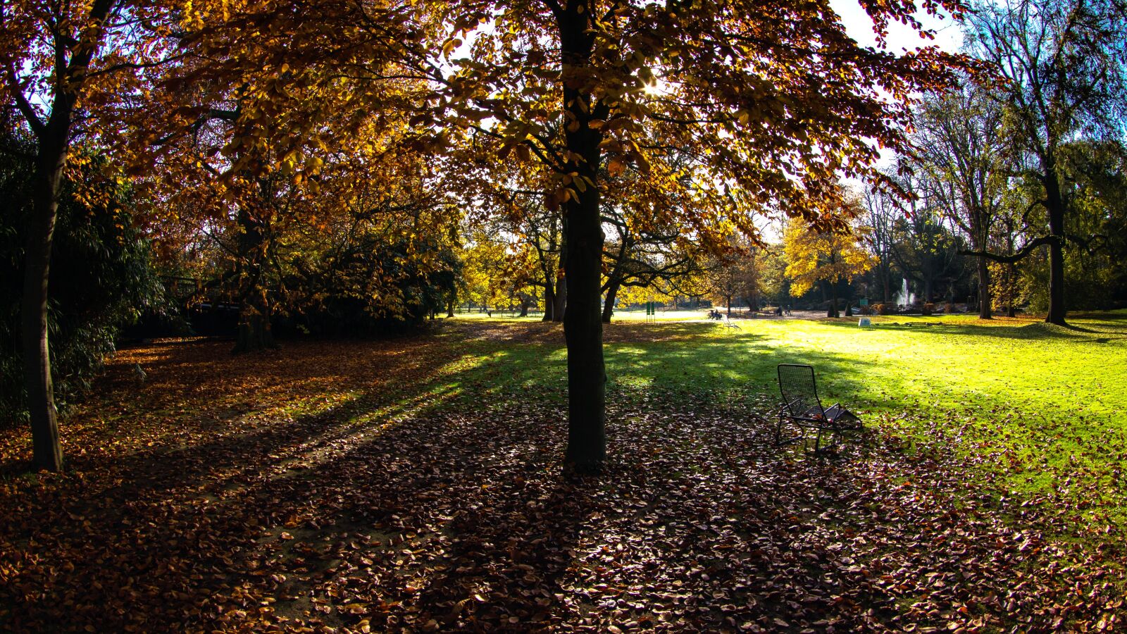 Canon EOS 600D (Rebel EOS T3i / EOS Kiss X5) sample photo. Autumn, autumn colours, fall photography