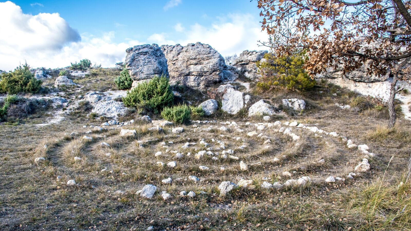 Nikon D5600 sample photo. Pagan, ritual, spiritual photography