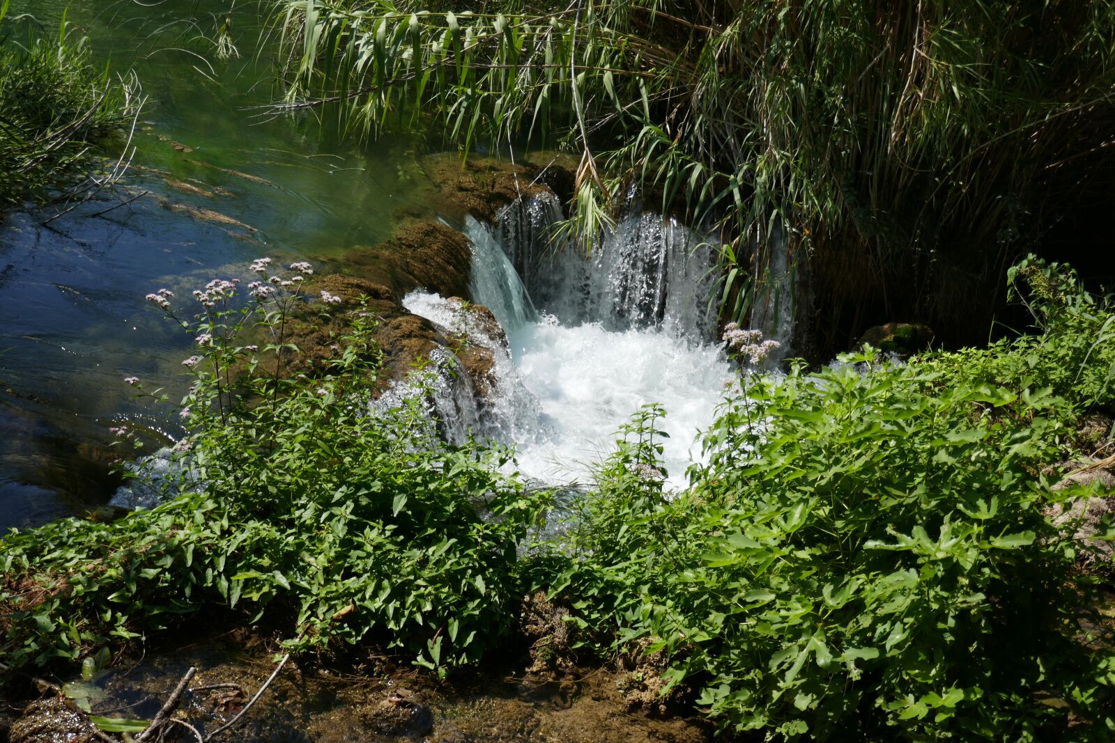 Panasonic DMC-TZ101 sample photo. Krka, waterfalls, croatia photography